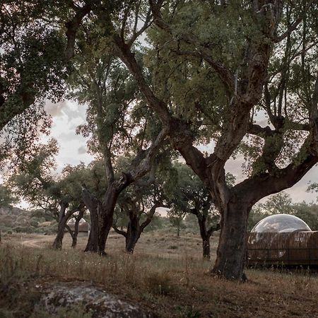 Finca El Cortinal Valencia de Alcántara Exteriör bild
