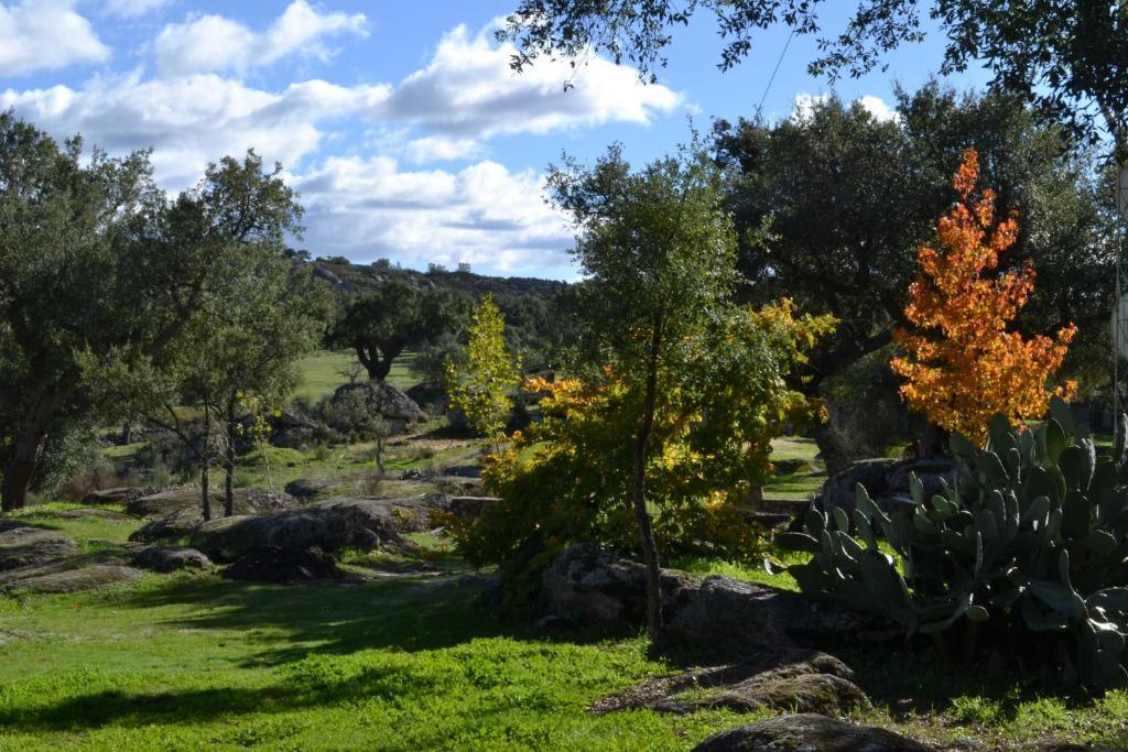 Finca El Cortinal Valencia de Alcántara Rum bild